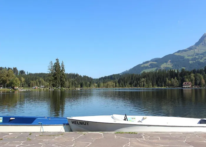 Modern In Near Area Apartment